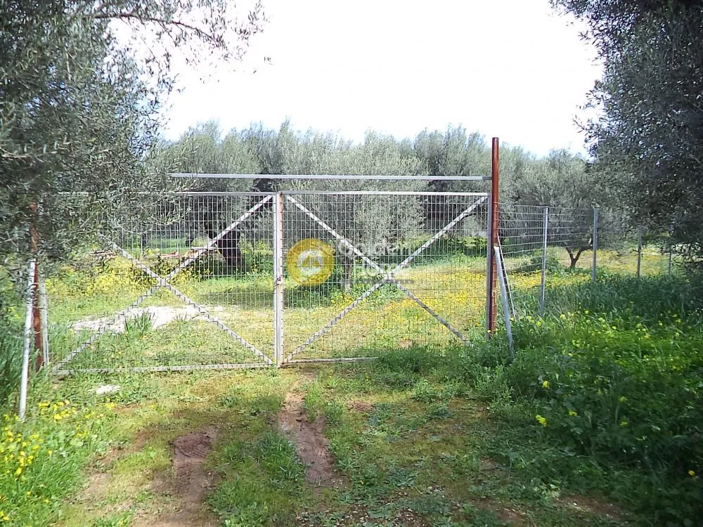 Jardin - Acreage with Sea View in Akrotiri