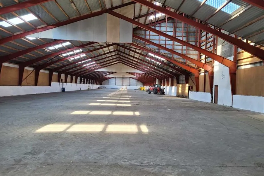 Toad - Warehouse with High Ceiling in Randers SØ