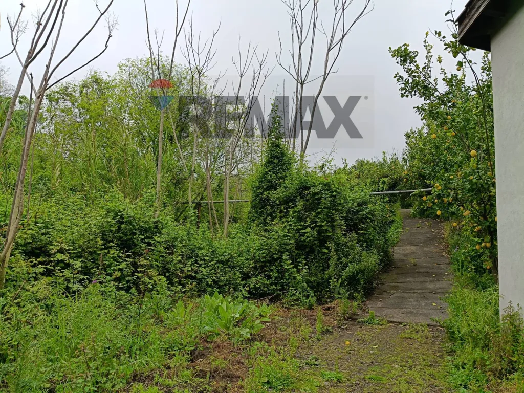 Jardin - Agricultural Estate with Lemon Grove in Mascali