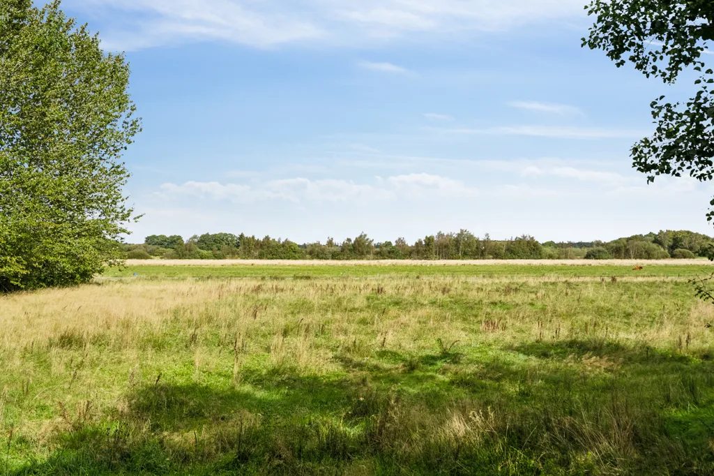 Giardino - Architect-Designed Farmhouse with Stables in Brande