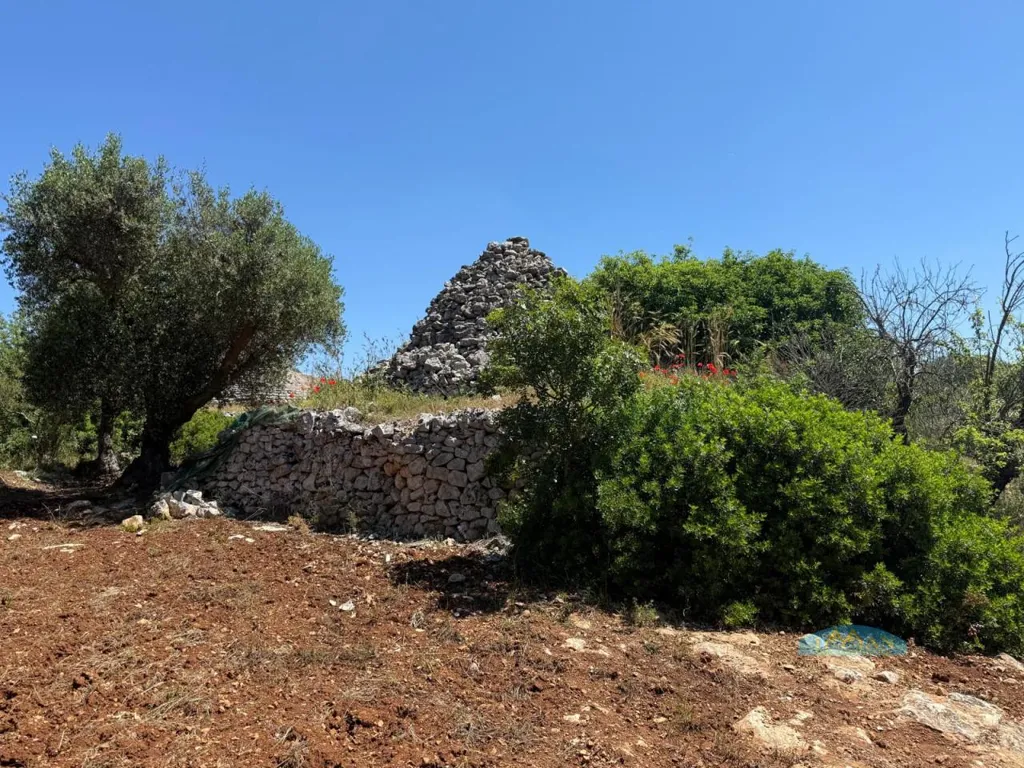 Jardin - Trullo with Olive Grove in Ceglie Messapica