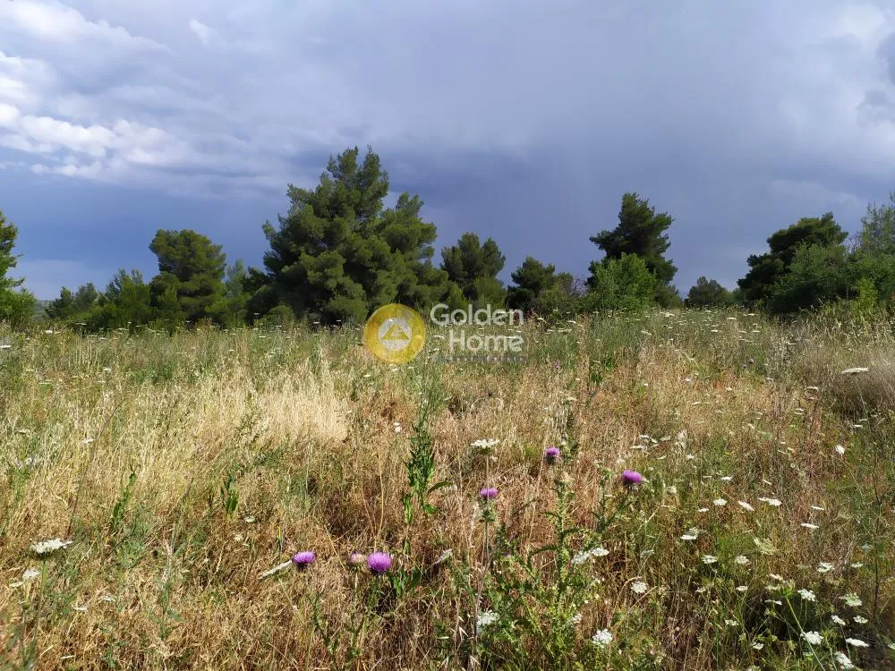 Aed - Large Plot with Sea View in Aegina