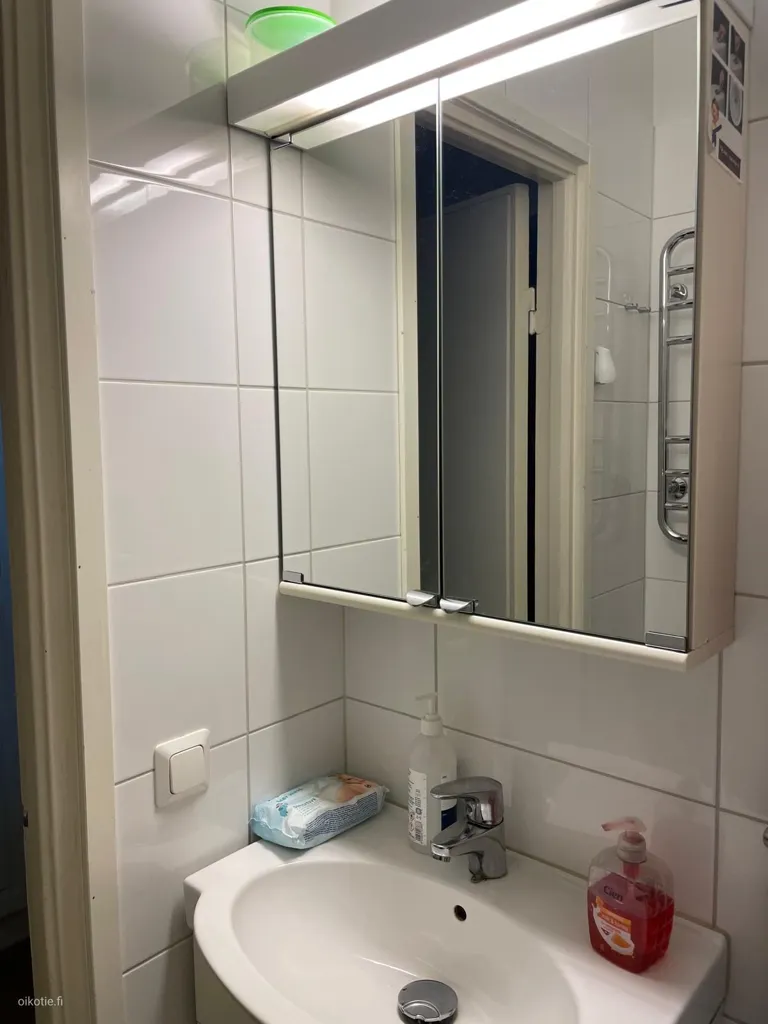 Vannitoad - One-Bedroom Flat with Garden View in Taka-Töölö