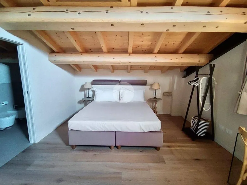Magamistoad - Arched Monolocale in Historic Villa, Tregnago