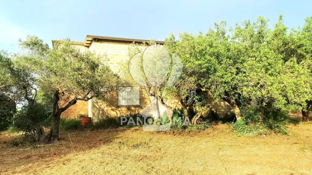 Exterior - Villa with Olive Grove in Partinico