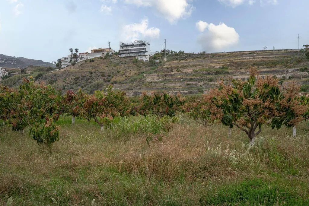Aed - Development Land with Sea View in Salobreña