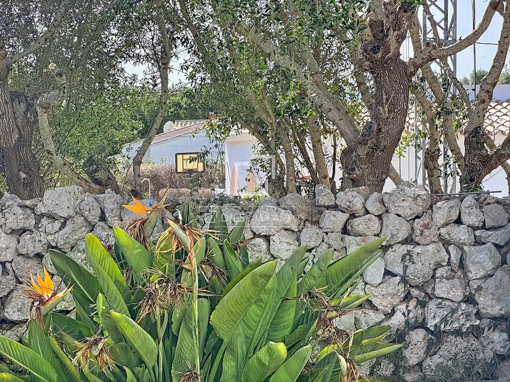 Jardin - 5 Bedroom Villa with Pool in Es Castell