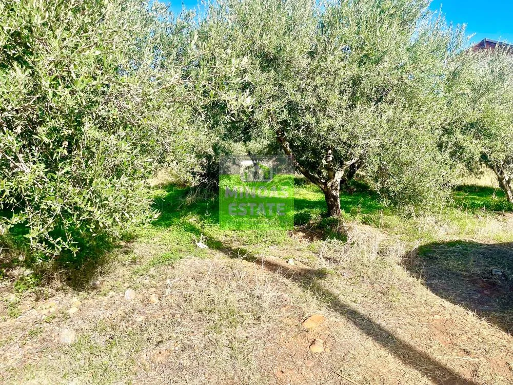 Aed - Corner Plot with Sea View in Tavronitis