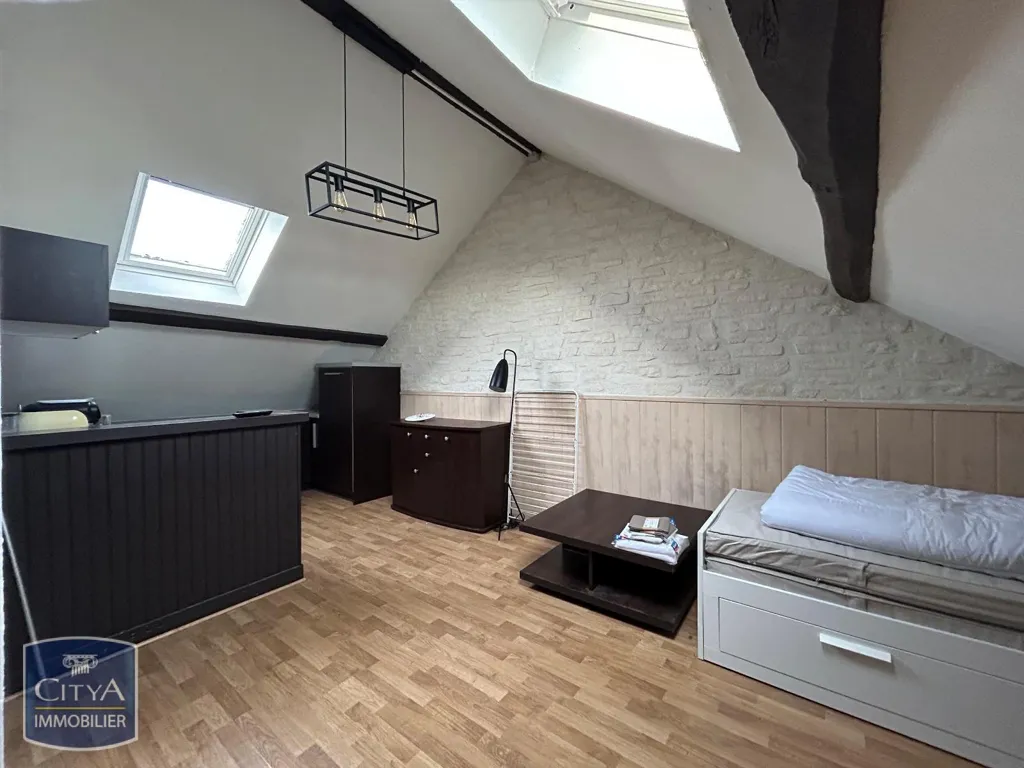 Toad - Furnished Studio Flat in Blois