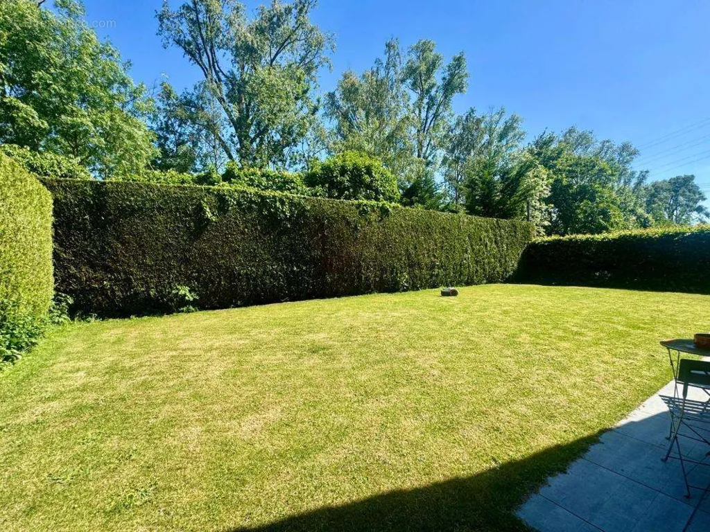 Jardin - Maison en Semi-Plain Pied avec Jardin à Wasquehal