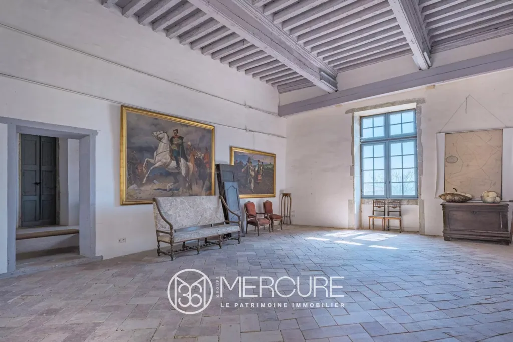 Soggiorno - Restored Medieval Château with Pyrenees View