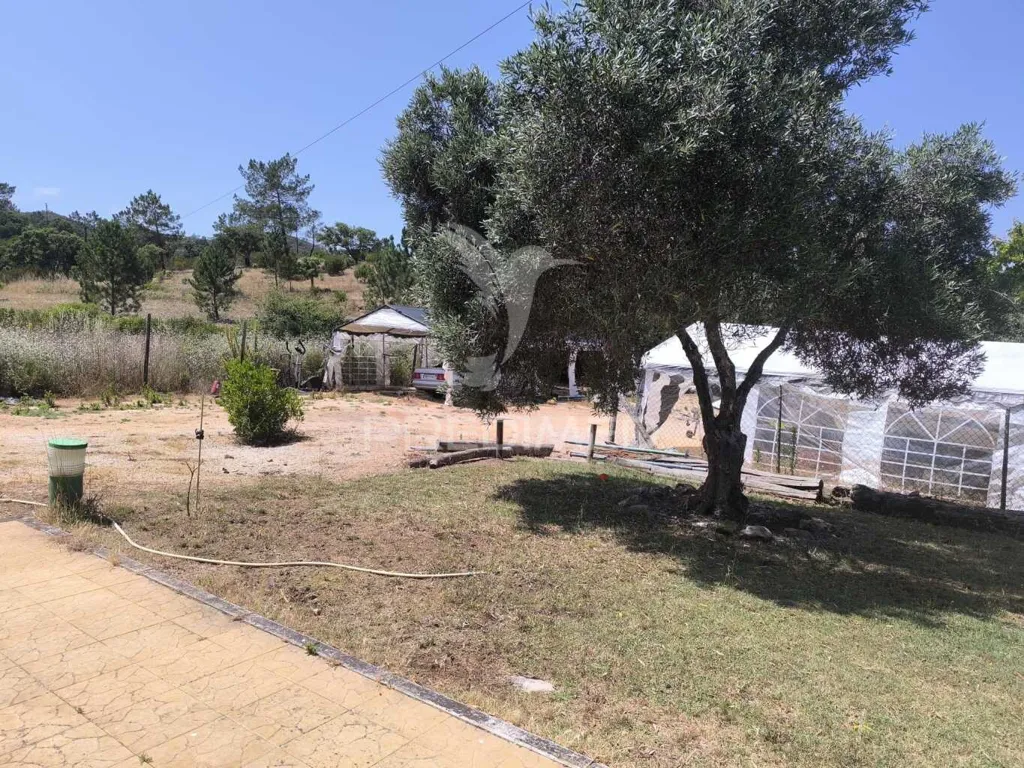 Jardin - Local commercial 3 pièces à Aljezur