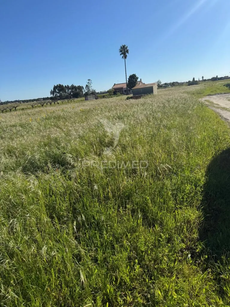 Aed - Buildable Mixed-Use Land in Lagameças