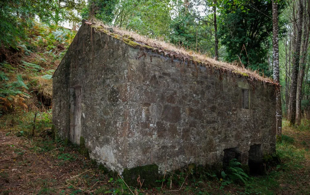Esterno - Restoration Opportunity with Forest in Silleda