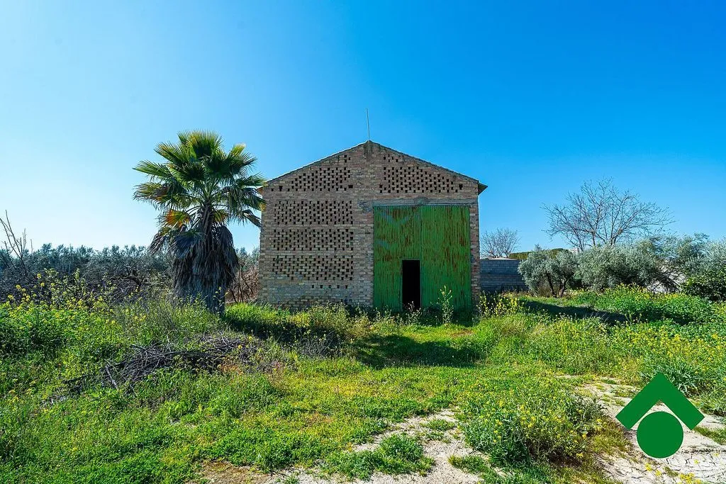 Esterno - Rustic Farmhouse with Terrace in Chauchina