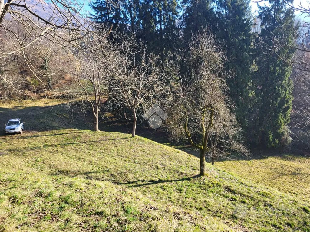 Terrain à IT