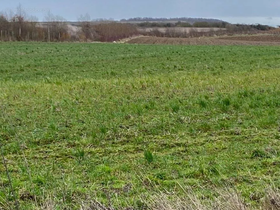 Aed - Buildable Plot with Garden in Wimille