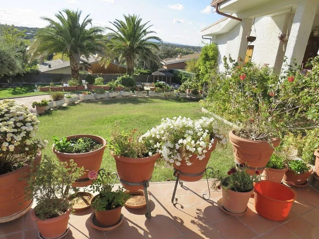 Jardin - Luxury House with South-Facing Views in Algete