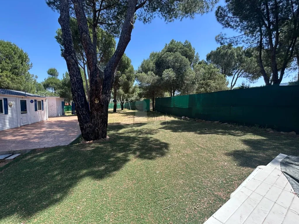 Jardin - Chalet with Pool in Navas del Rey