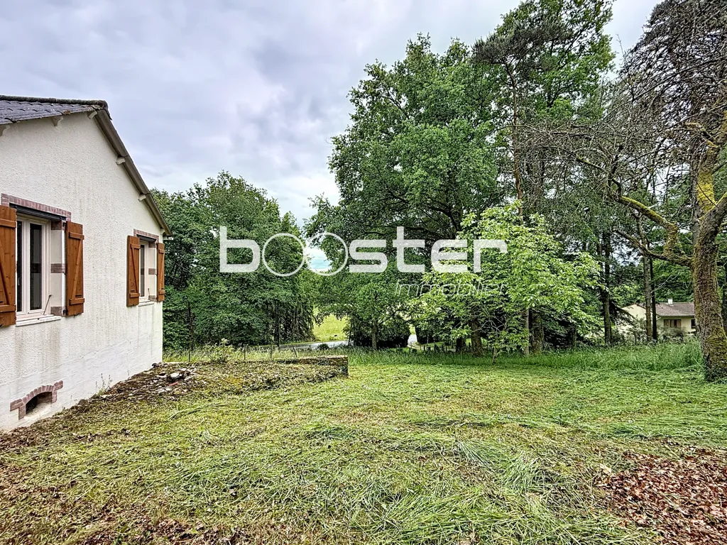 Giardino - Detached House with Garden in Ladignac-le-Long