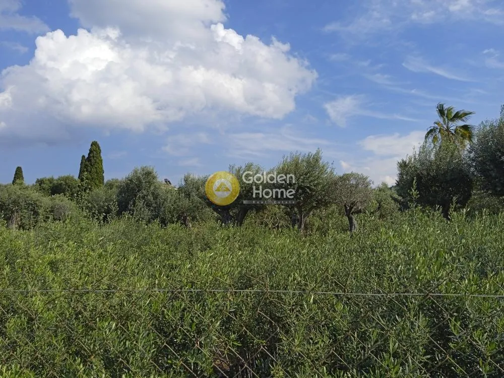 Garden - Commercial Land with Road Frontage in Oropos