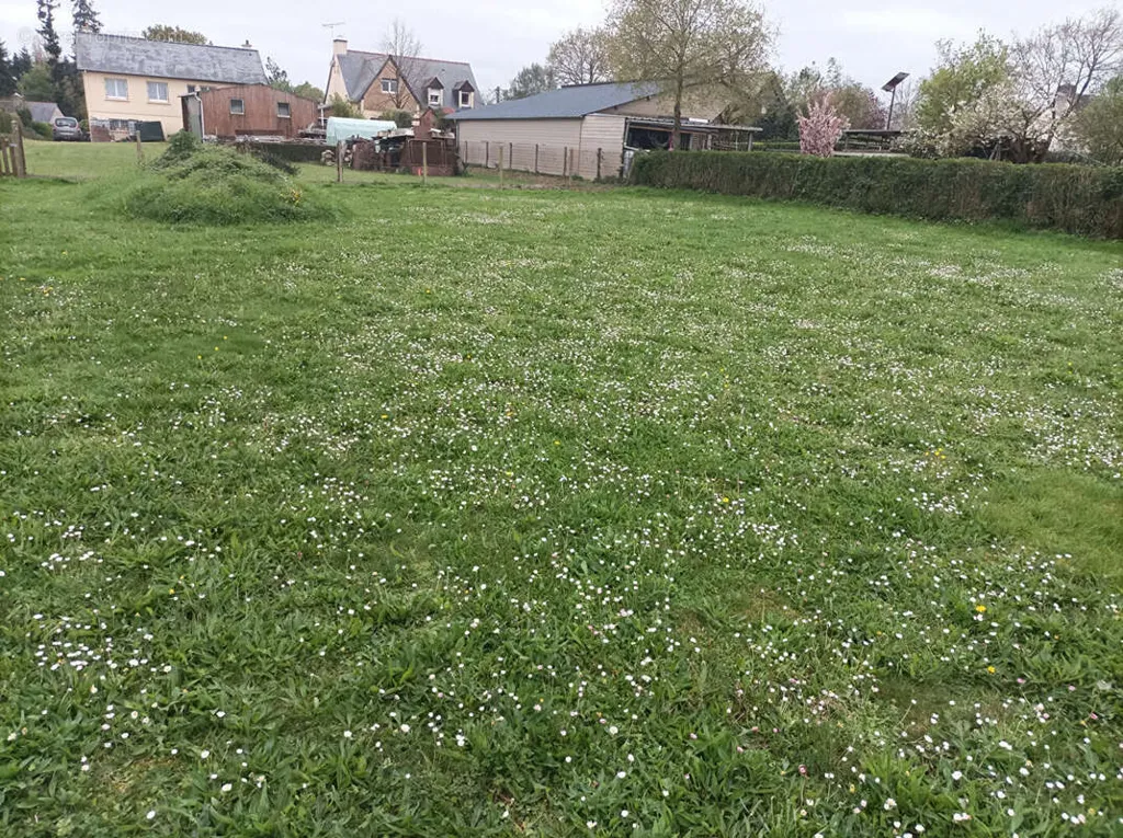 Jardin - Terrain à Viabiliser à Pléchâtel