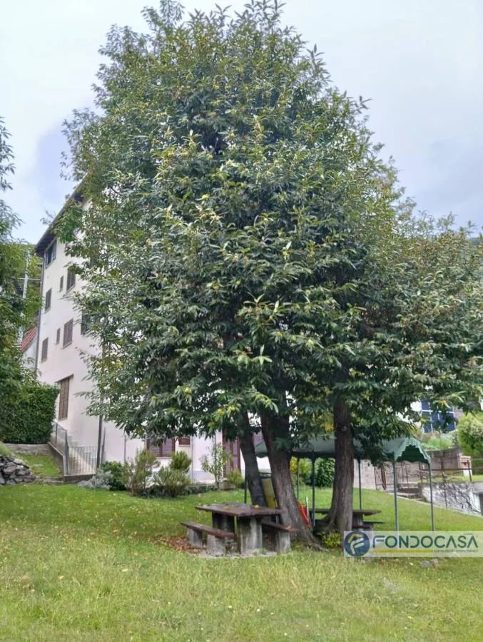 Aed - Spacious Apartment with Garden in Valvarrone