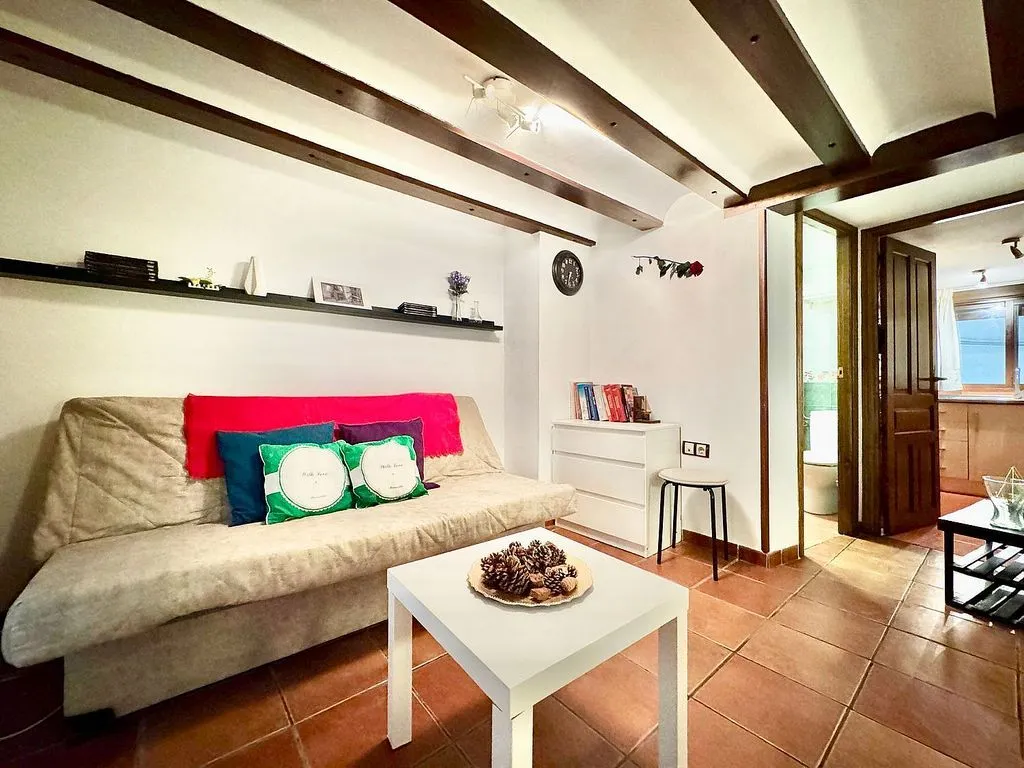 Séjour - Rustic Studio Flat in Plaza San Bartolomé, Jaén