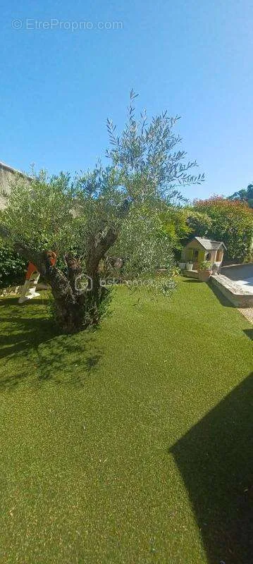 Jardin - Villa Traditionnelle avec Studio et Piscine à Vendre