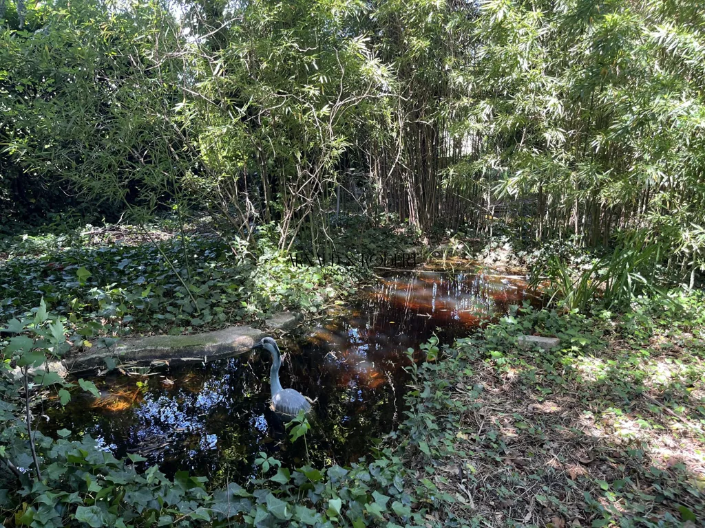 Jardin - Villa avec Piscine à Savasse