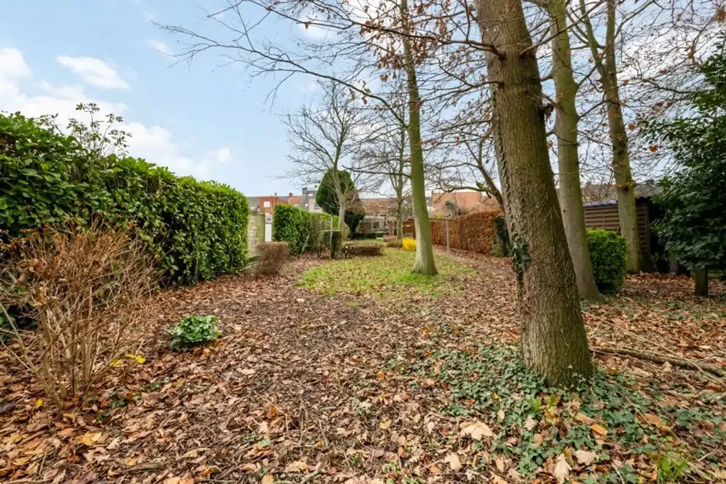 garden