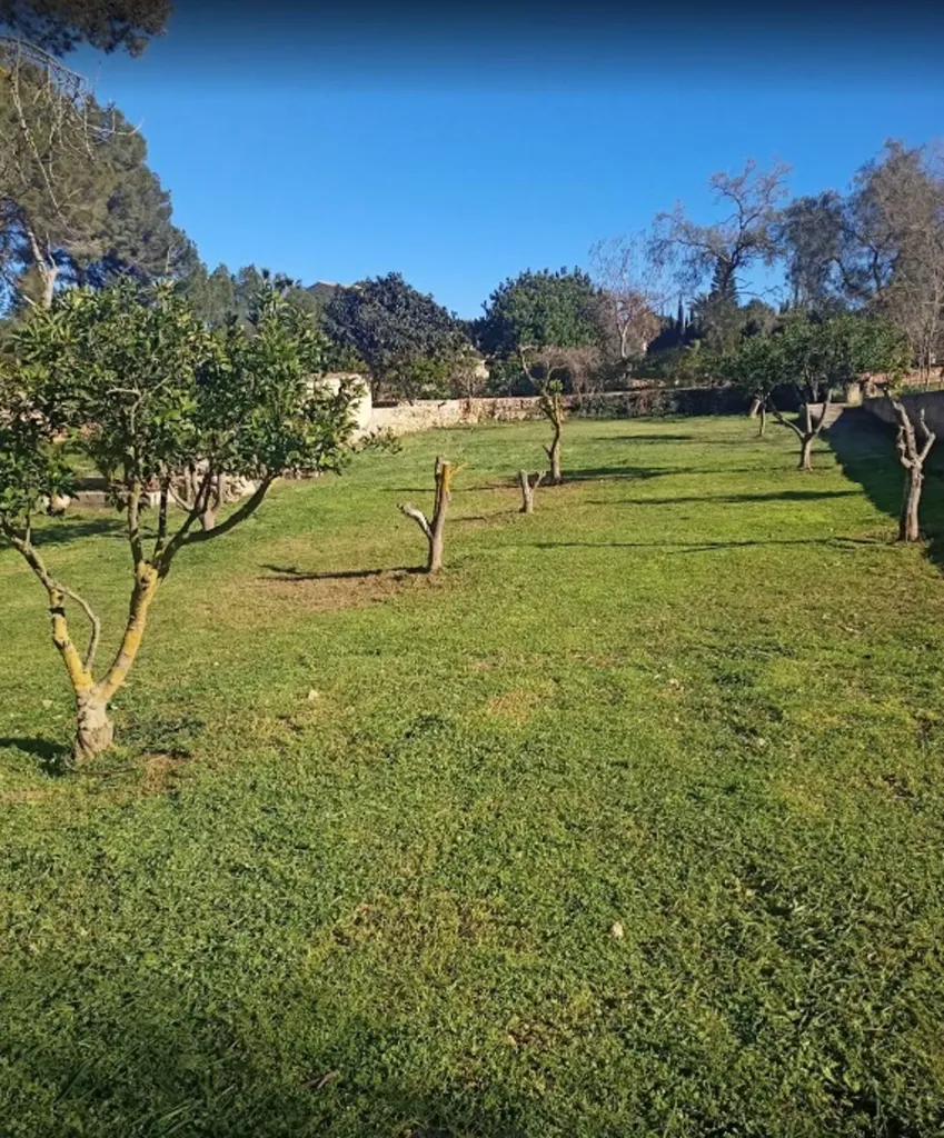 Jardin - Finca with Pool and Views in S'Aranjassa