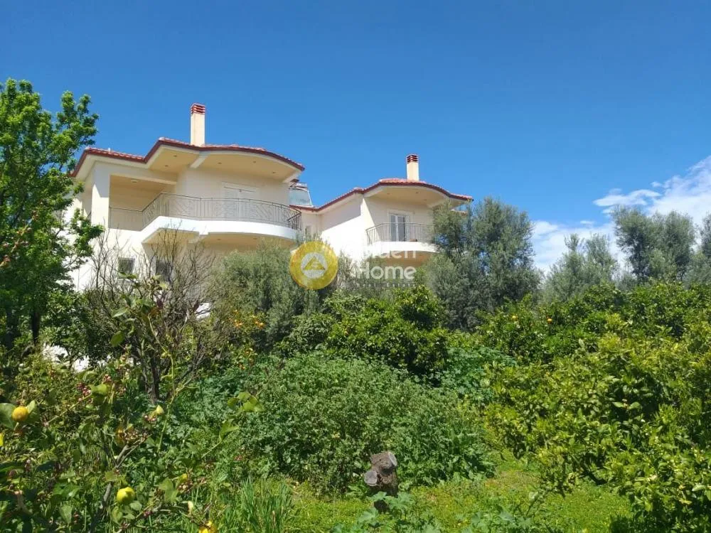 Extérieur - Luxury Villa with Sea View in Akritas
