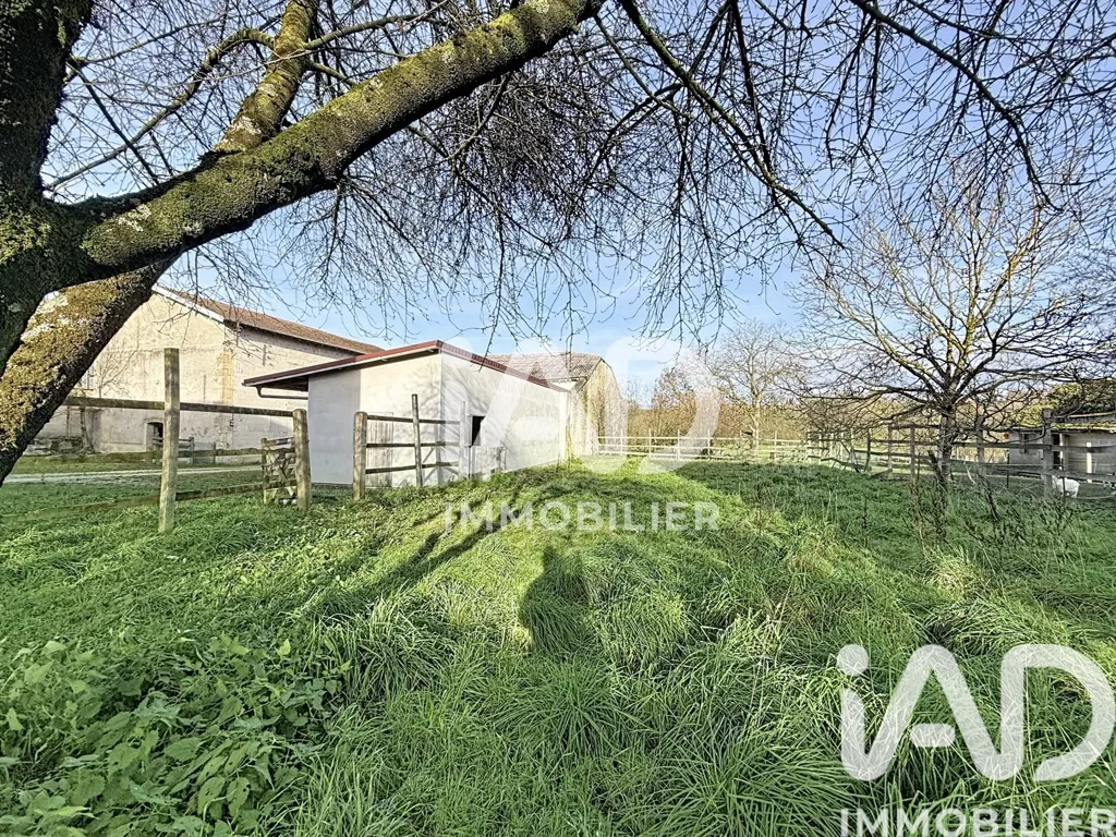 Giardino - Equestrian Domain with House in Nubécourt