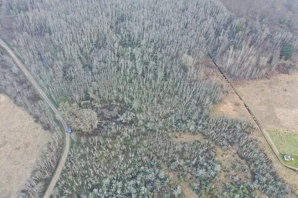 Vue aérienne - Terrain à Haljala vald