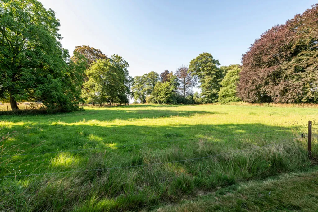 Jardin - Manoir à Rénover avec Jardin à Avernas