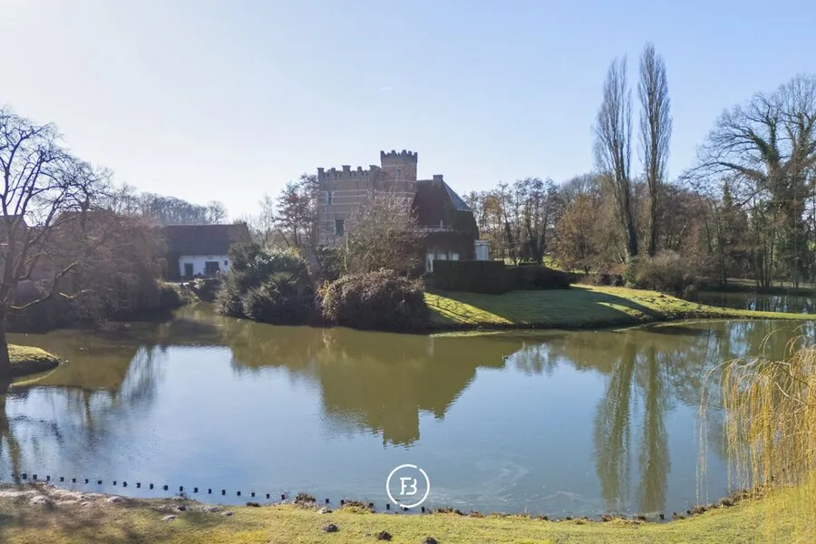 Aed - Charming Castle House with Pool near Hasselt