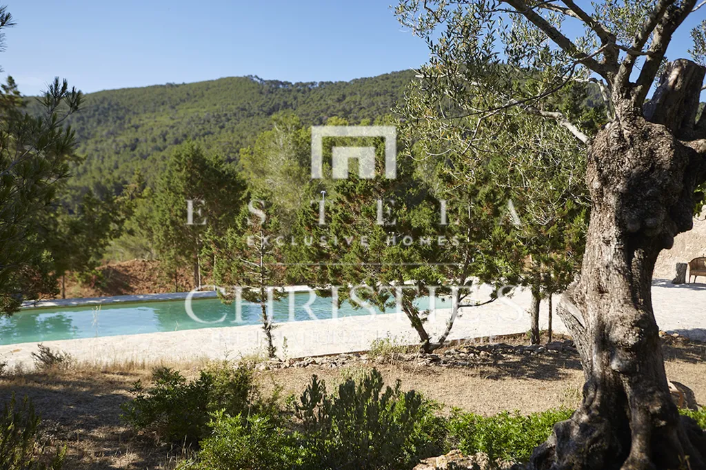 Bassein - Restored Finca with Pool in San Antonio