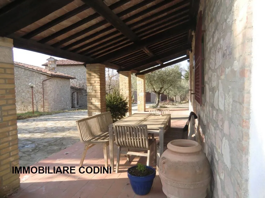 terrace_patio