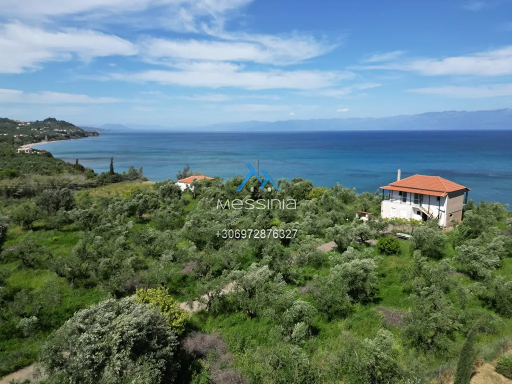 Vista aerea - Beachfront Villa with Sea View in Gargaro, Messinia