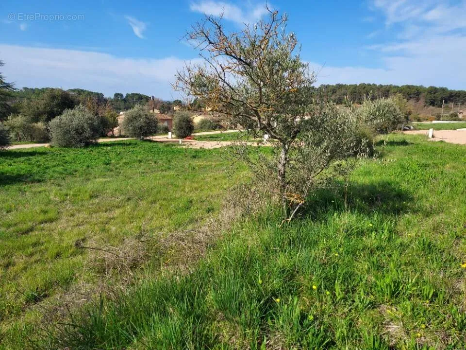 Jardin - Terrain Constructible avec Jardin à Barjols