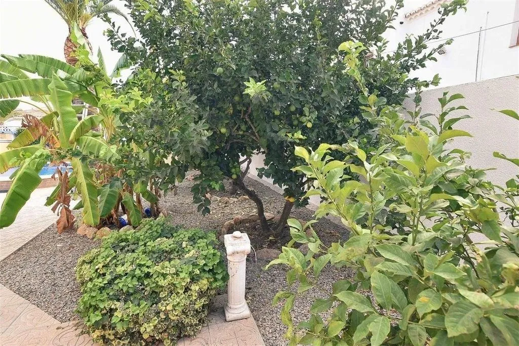 Aed - Detached Villa with Pool in Torrevieja