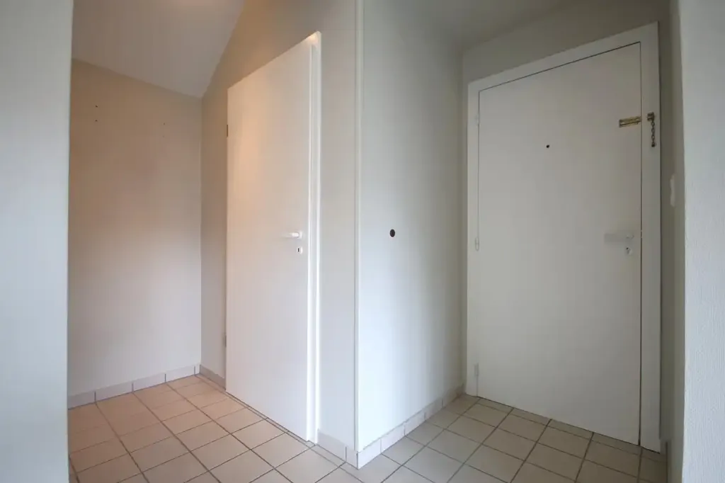 Entrée - Appartement Lumineux Centre-Ville