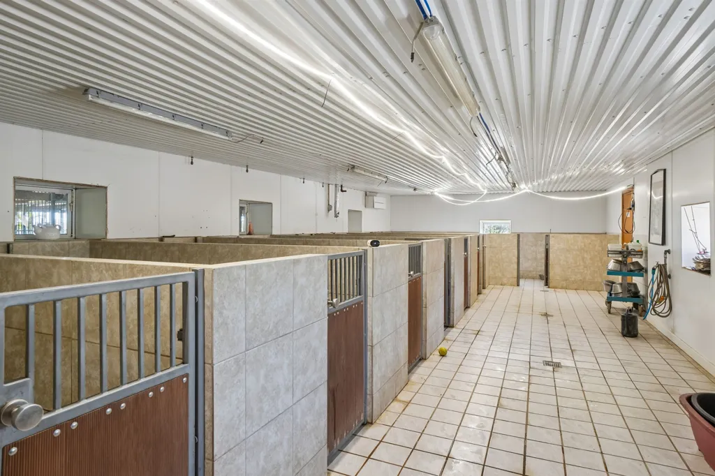 Toad - Mixed-Use Property with Kennel in Ruds Vedby