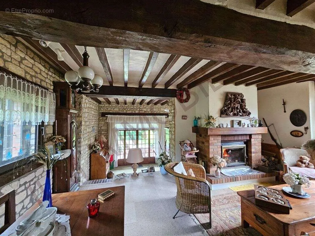 Séjour - Maison Ancienne Rénovée avec Terrasse dans l'Yonne