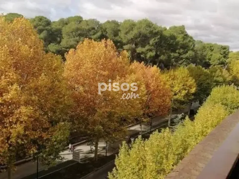 Six-Bedroom Flat with Park View in Albacete Centre