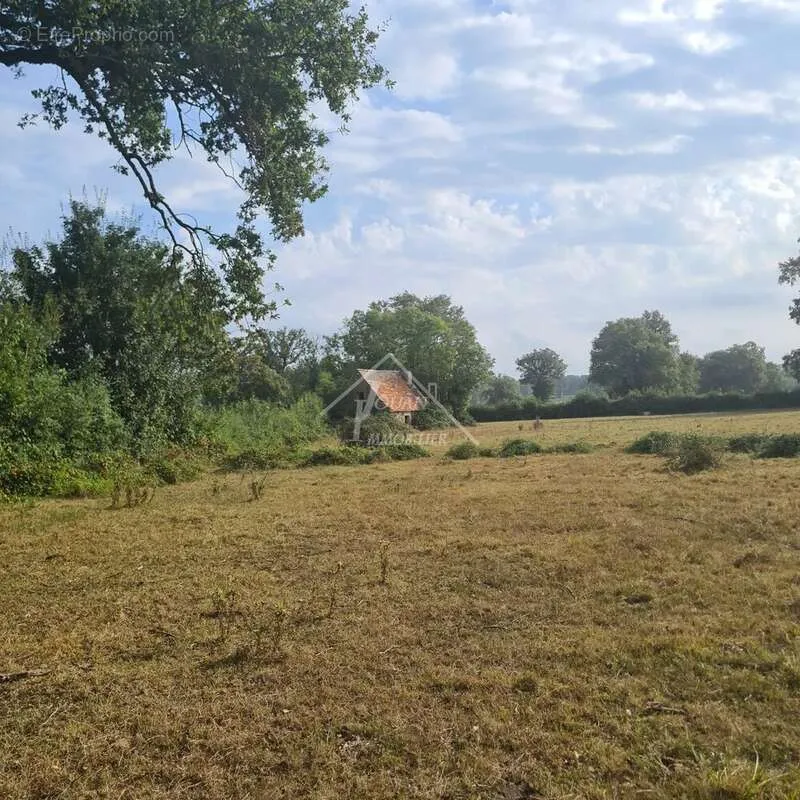 Garden - Rural Property with Panoramic Views in Gipcy