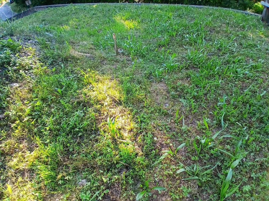 Jardin - Terrain à Bâtir à Laissaud avec Vue Sud-Ouest