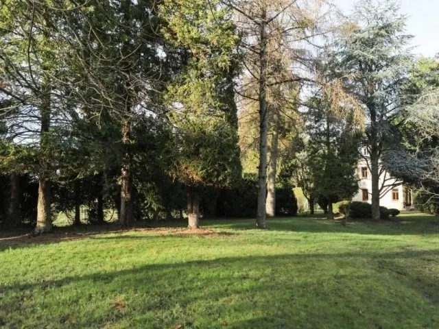 Jardin - Maison de Maître avec Parc à Rettel