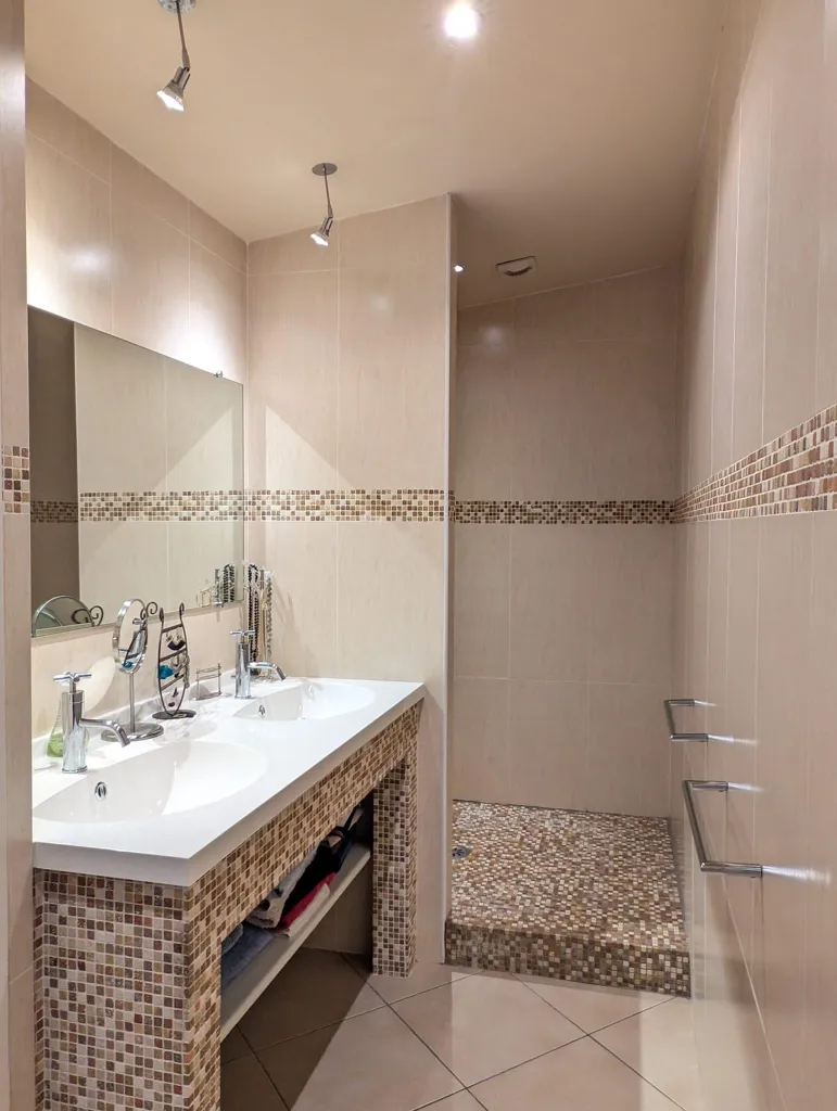 Salles de bain - Duplex avec Terrasse 42m² à Saint-Étienne Bellevue